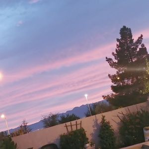 Meet your Posher, Daisy